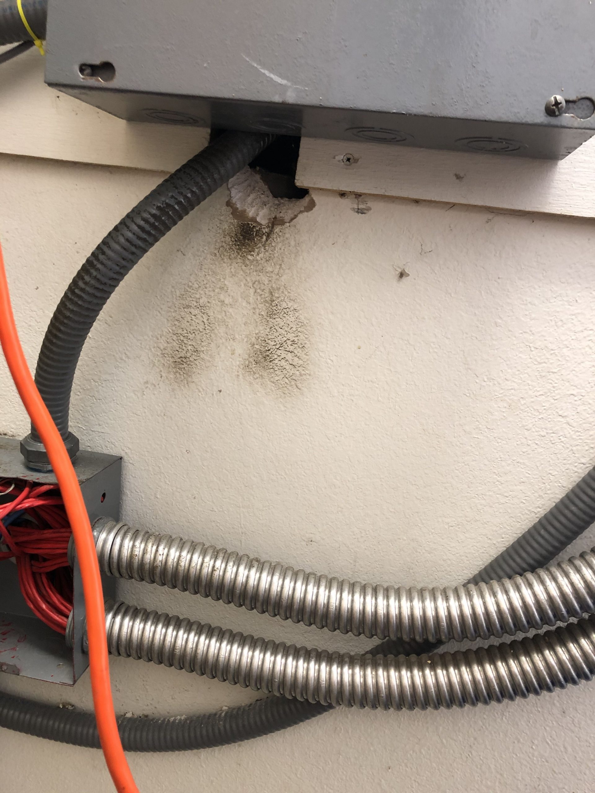 Rat hole at an electrical junction box