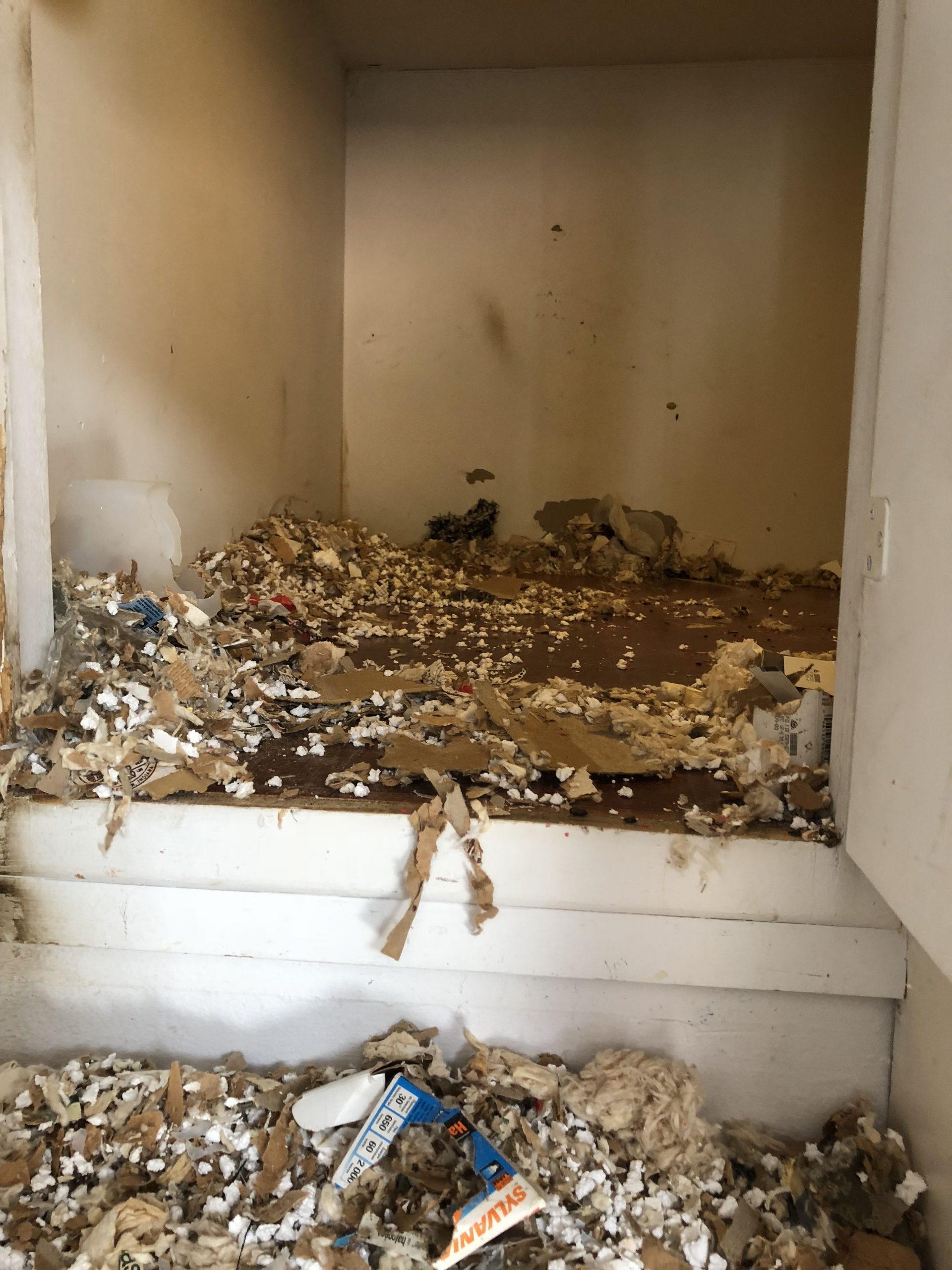 Cabinets destroyed by a rat infestation